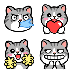 [LINE絵文字] Douhua cat daily life Animatedの画像