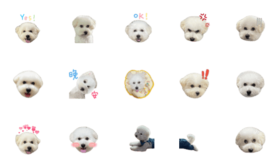 [LINE絵文字]Bichon_wzの画像一覧