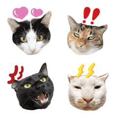 [LINE絵文字] neko.emojiの画像