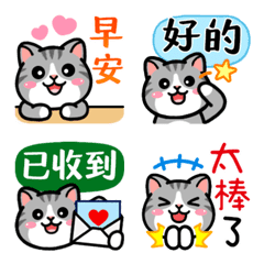 [LINE絵文字] Douhua cat daily life Animated.の画像