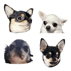 [LINE絵文字] Our family Dogの画像