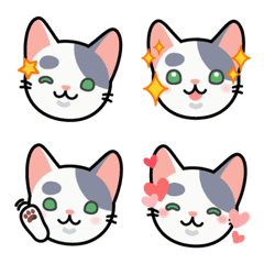 [LINE絵文字] 灰白ぶち ふぶき ねこねこ絵文字の画像