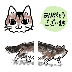 [LINE絵文字] もふ猫こまちの絵文字の画像