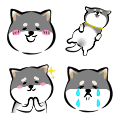 [LINE絵文字] いつもの柴犬（黒柴）の画像