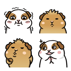 [LINE絵文字] Lovely Guinea Pig 3の画像