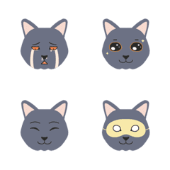 [LINE絵文字] 9F_British shorthair catの画像