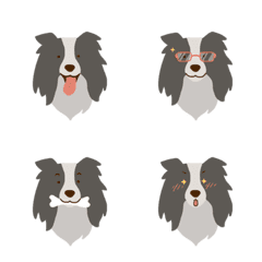 [LINE絵文字] 9F_Border Collie dogの画像