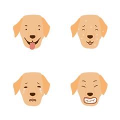 [LINE絵文字] 9F_Golden Retriever dogの画像