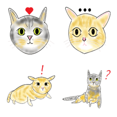 [LINE絵文字] Lee's Catsの画像