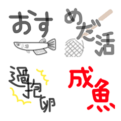 [LINE絵文字] メダカ用語の画像