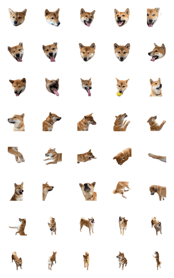 [LINE絵文字]SHIBA DOU DOUの画像一覧