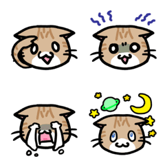 [LINE絵文字] スコティッシュ猫ちゃん絵文字の画像