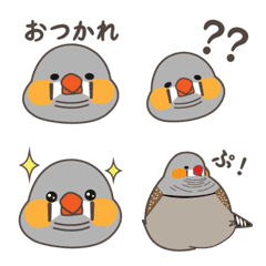 [LINE絵文字] キュートなキンカチョウ絵文字の画像