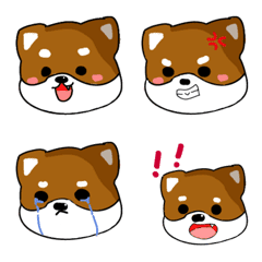 [LINE絵文字] Shiba Inu Storyの画像