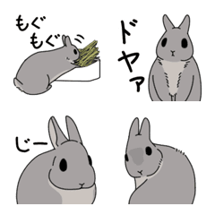 [LINE絵文字] もしも、うさぎと一緒なら 絵文字 第1弾の画像