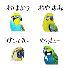 [LINE絵文字] 使いやすいインコの絵文字の画像