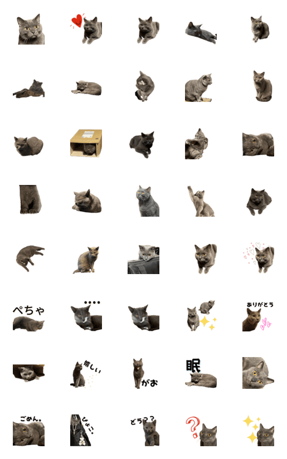 [LINE絵文字]Chartreux Cats TSUKUの画像一覧