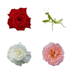 [LINE絵文字] Flowers and insects.の画像