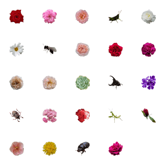 [LINE絵文字]Flowers and insects.の画像一覧