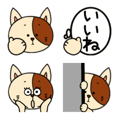 [LINE絵文字] ねこのまるちゃんの年中使える絵文字の画像