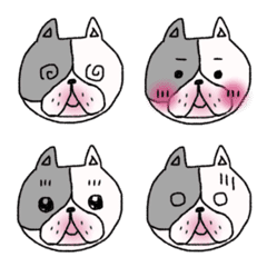 [LINE絵文字] vivi the french bull 1の画像