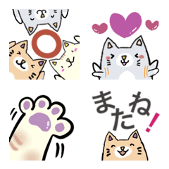 [LINE絵文字] かわいい 猫たち 日常会話に使える絵文字の画像