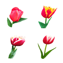 [LINE絵文字] stemmed tulipの画像