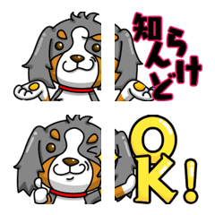 [LINE絵文字] Bernese Mountain Dog emoji 2の画像