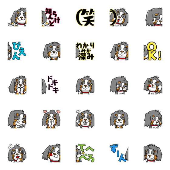 [LINE絵文字]Bernese Mountain Dog emoji 2の画像一覧