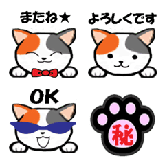 [LINE絵文字] 三毛猫みーちゃん【日常会話】の画像