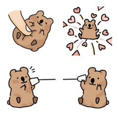 [LINE絵文字] Quokka kakaの画像