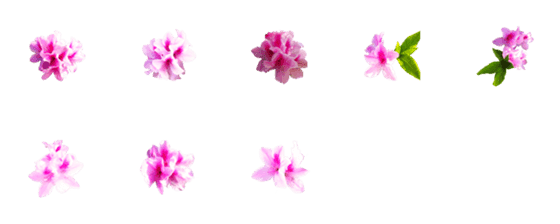 [LINE絵文字]Rhododendron 2023の画像一覧