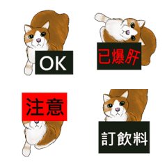 [LINE絵文字] A Meow Catの画像