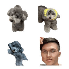 [LINE絵文字] dudu ＆ pet dog nanoの画像