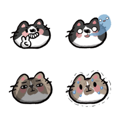 [LINE絵文字] 8yuan 10yuan come on Yuann meowの画像