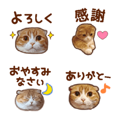 [LINE絵文字] たれ耳ねこちゃん あいさつ絵文字の画像