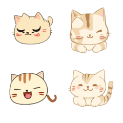 [LINE絵文字] Cute cat - Face to Face 01の画像