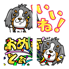 [LINE絵文字] バーニーズマウンテンドッグ 動く絵文字の画像