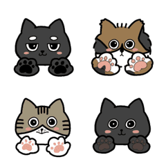 [LINE絵文字] 可愛い4匹の猫さんの絵文字2の画像