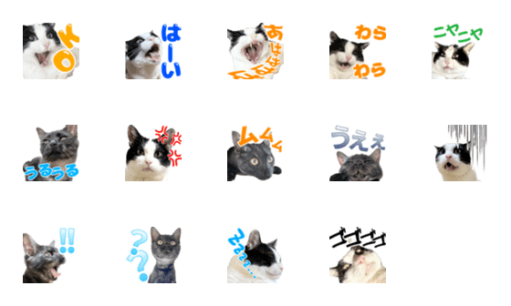 [LINE絵文字]猫の絵文字。みつお と ふう。の画像一覧