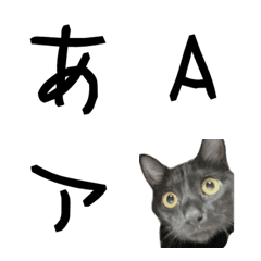 [LINE絵文字] モグの画像