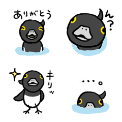 [LINE絵文字] きんくろちゃんのいろいろ絵文字の画像