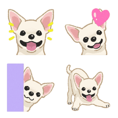 [LINE絵文字] チワワ - スムースコート（犬）の画像