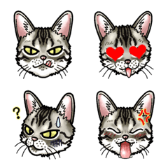 [LINE絵文字] エジプシャンマウな猫⑨～☆絵文字の画像