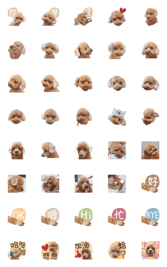 [LINE絵文字]Pet Life-Poodle QQ-Emojiの画像一覧