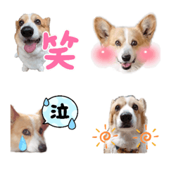 [LINE絵文字] maronnoemoji1の画像