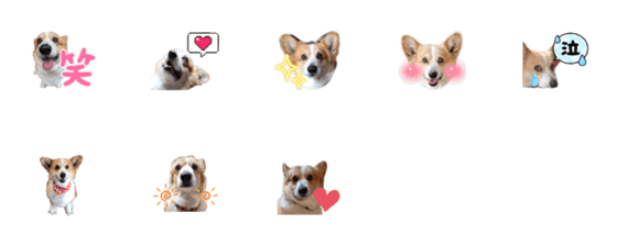 [LINE絵文字]maronnoemoji1の画像一覧