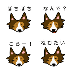 [LINE絵文字] シェットランドシープドッグのイラストの画像