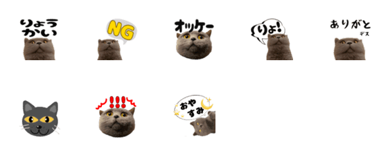 [LINE絵文字]m's cat emojiの画像一覧