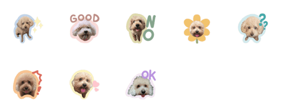 [LINE絵文字]doggy stickersの画像一覧